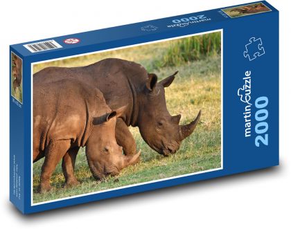 Roundnose rhinoceros - animals, wildlife - Puzzle 2000 pieces, size 90x60 cm 