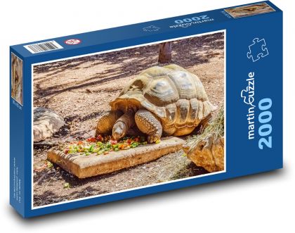 Obří želva - plaz, zvíře - Puzzle 2000 dílků, rozměr 90x60 cm