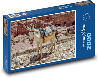 Donkey - animal, desert - Puzzle 2000 pieces, size 90x60 cm 