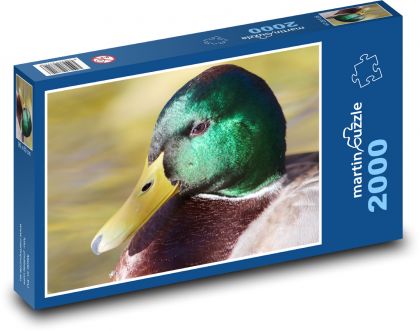 Wildenten - Ente, Wasservogel - Puzzle - 2000 Teile