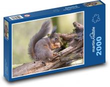 Veverka - vlašský ořech, zvíře Puzzle 2000 - 90x60 cm