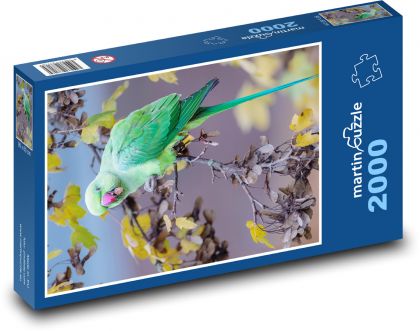 Papoušek - pták, zvíře - Puzzle 2000 dílků, rozměr 90x60 cm