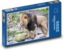 Lev - cicavec, zviera Puzzle 2000 dielikov - 90 x 60 cm