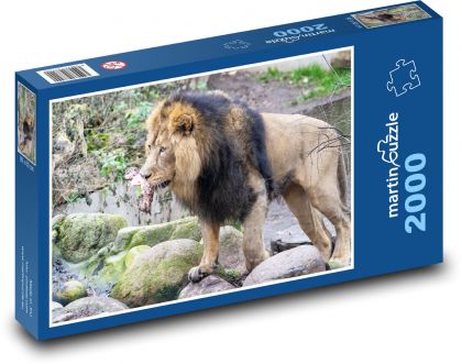 Lev - cicavec, zviera - Puzzle 2000 dielikov, rozmer 90x60 cm 