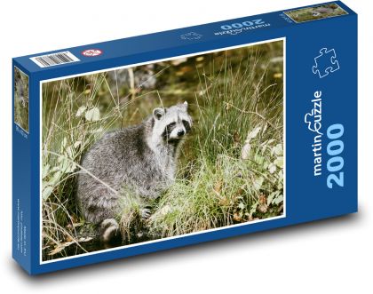 Raccoon - zviera, príroda - Puzzle 2000 dielikov, rozmer 90x60 cm 