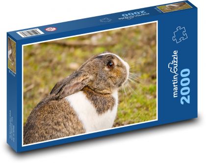 Królik - zwierzę, ssak - Puzzle 2000 elementów, rozmiar 90x60 cm