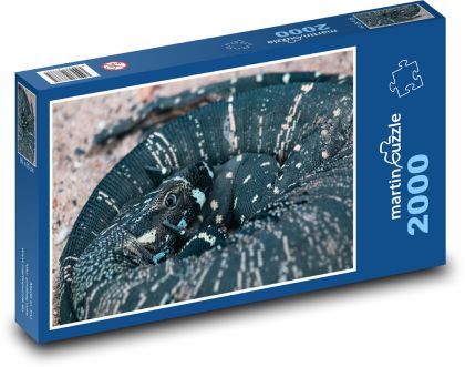 Varan - lizard, reptile - Puzzle 2000 pieces, size 90x60 cm 