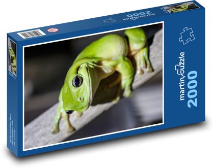 Żaba - płaz, dewcock - Puzzle 2000 elementów, rozmiar 90x60 cm