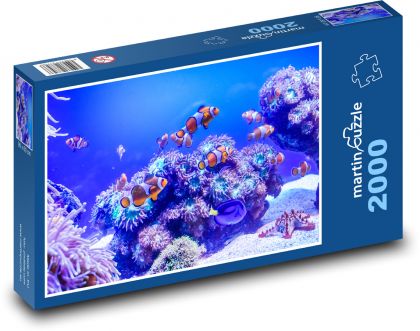 Aquarium - clown, sea - Puzzle 2000 pieces, size 90x60 cm 