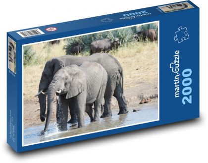 Elephants - Africa, wildlife - Puzzle 2000 pieces, size 90x60 cm 