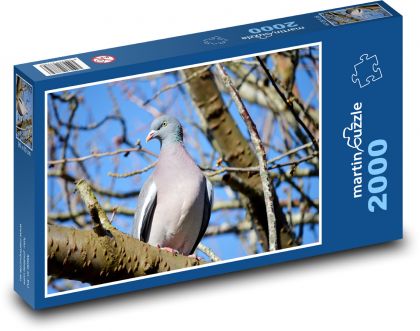 Dove - bird, feather - Puzzle 2000 pieces, size 90x60 cm 