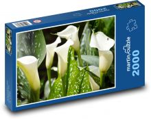 Kala - květina, rostlina Puzzle 2000 dílků - 90 x 60 cm