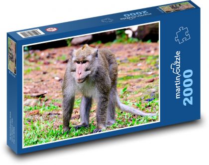 Affe - Mutter und Junge, Tier - Puzzle - 2000 Teile