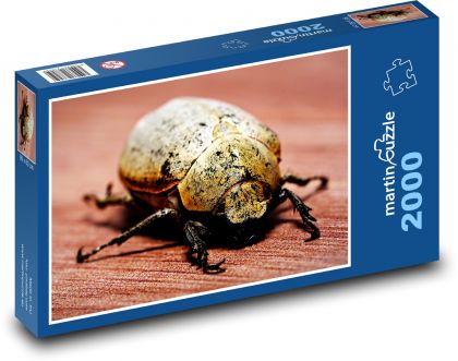 Hmyz - brouk, entomologie  - Puzzle 2000 dílků, rozměr 90x60 cm