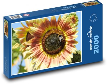 Slunečnice - květina, květ - Puzzle 2000 dílků, rozměr 90x60 cm