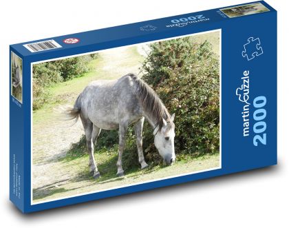 Kůň - zvíře, léto - Puzzle 2000 dílků, rozměr 90x60 cm