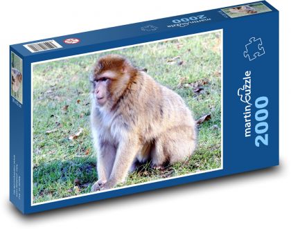 Opice - makak, divoká zvěř - Puzzle 2000 dílků, rozměr 90x60 cm