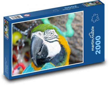 Papoušek ara - zvíře, pták  - Puzzle 2000 dílků, rozměr 90x60 cm