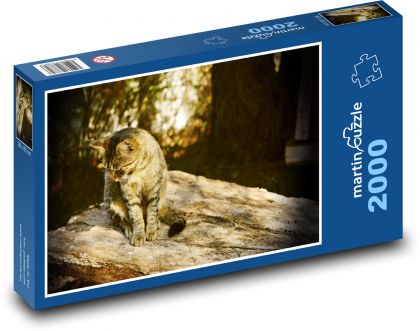 Kočka - domácí zvíře, mazlíček - Puzzle 2000 dílků, rozměr 90x60 cm