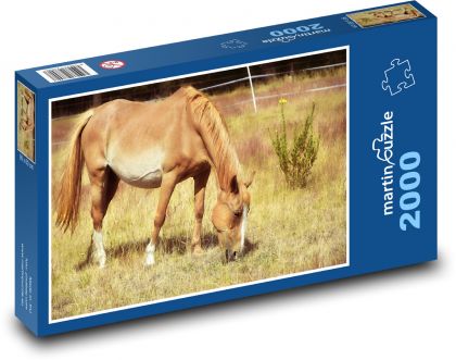 Stute - Pferd, Tier - Puzzle - 2000 Teile