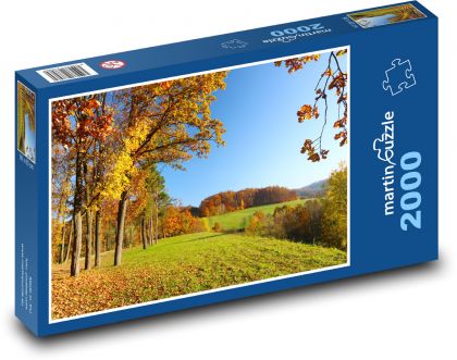 Krajina - keře, stromy - Puzzle 2000 dílků, rozměr 90x60 cm