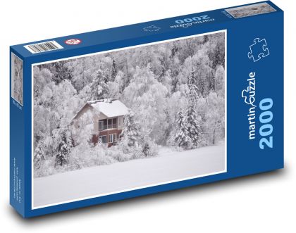 Zimní krajina - zamrzlé jezero, sníh  - puzzle 2000 dílků