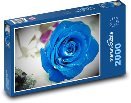 Modrá růže - květ, rostlina - Puzzle 2000 dílků, rozměr 90x60 cm
