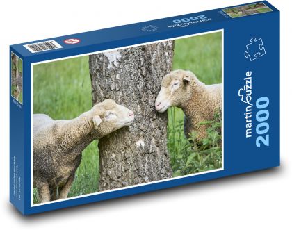 Ovce - jehňata, strom - Puzzle 2000 dílků, rozměr 90x60 cm
