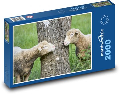 Ovce - jehňata, strom - puzzle 2000 dílků