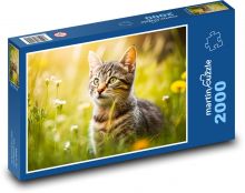 Katze - Kätzchen, Gras Puzzle 2000 Teile - 90 x 60 cm
