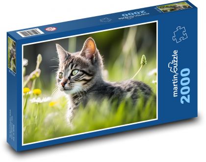 Cat - kitten, pet - Puzzle 2000 pieces, size 90x60 cm 