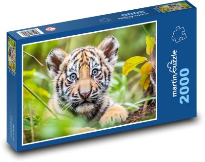 Tiger - mláďa, tiger - Puzzle 2000 dielikov, rozmer 90x60 cm 