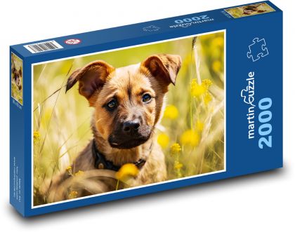 Štěně - mazlíček, pes - Puzzle 2000 dílků, rozměr 90x60 cm