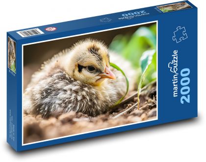 Vogel - Huhn, Jungtier - Puzzle - 2000 Teile