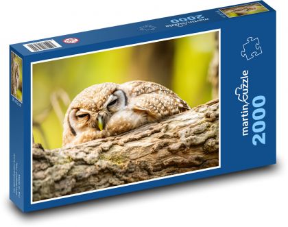 Owl - bird, animal - Puzzle 2000 pieces, size 90x60 cm 