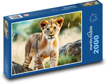 Lvíče - lev, mládě - Puzzle 2000 dílků, rozměr 90x60 cm