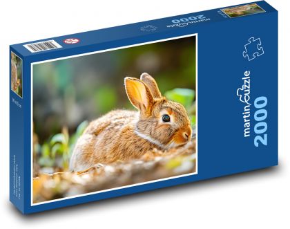 Králík - zvíře, savec   - Puzzle 2000 dílků, rozměr 90x60 cm