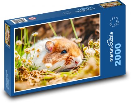 Škrečok - hlodavec, myš - Puzzle 2000 dielikov, rozmer 90x60 cm 