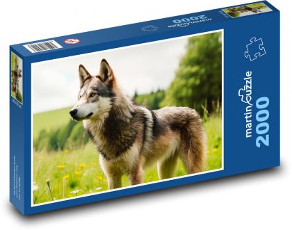 Vlk - divoký pes, zvíře  - Puzzle 2000 dílků, rozměr 90x60 cm