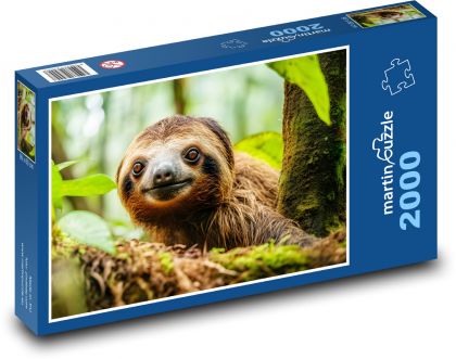 Faultier - Baum, Säugetier - Puzzle - 2000 Teile