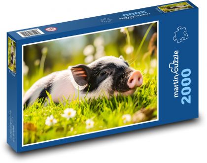 Sele - prase, pastvina - puzzle 2000 dílků