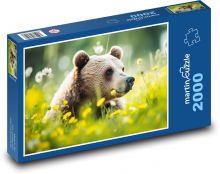 Medvěd - savec, pastvina Puzzle 2000 dílků - 90 x 60 cm