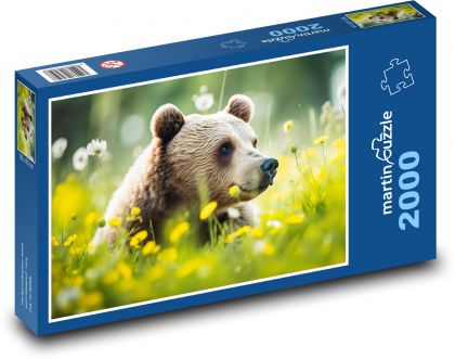 Medvěd - savec, pastvina - Puzzle 2000 dílků, rozměr 90x60 cm