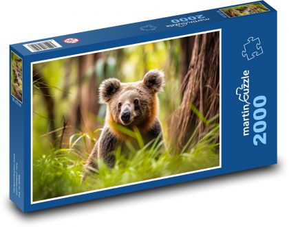 Koala - medvěd, zvíře - Puzzle 2000 dílků, rozměr 90x60 cm