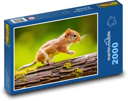 Mysz na gałęzi - gryzoń, zwierzę - Puzzle 2000 elementów, rozmiar 90x60 cm