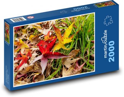 Listy - podzim, tráva - Puzzle 2000 dílků, rozměr 90x60 cm