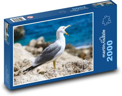 Racek - pták, pobřeží - Puzzle 2000 dílků, rozměr 90x60 cm