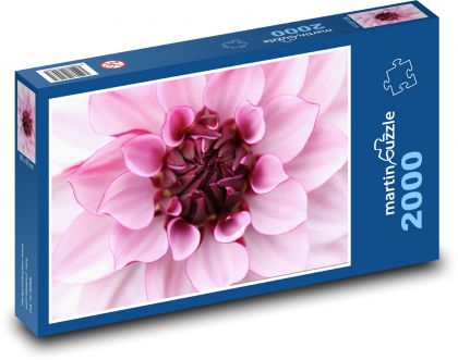 Dalia - kwiat dalii, płatki - Puzzle 2000 elementów, rozmiar 90x60 cm