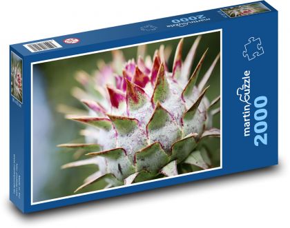 Artichoke - plant, prickly - Puzzle 2000 pieces, size 90x60 cm 