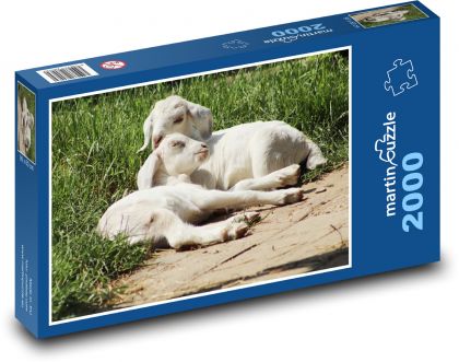 Kozy - kozy, zvieratá - Puzzle 2000 dielikov, rozmer 90x60 cm 